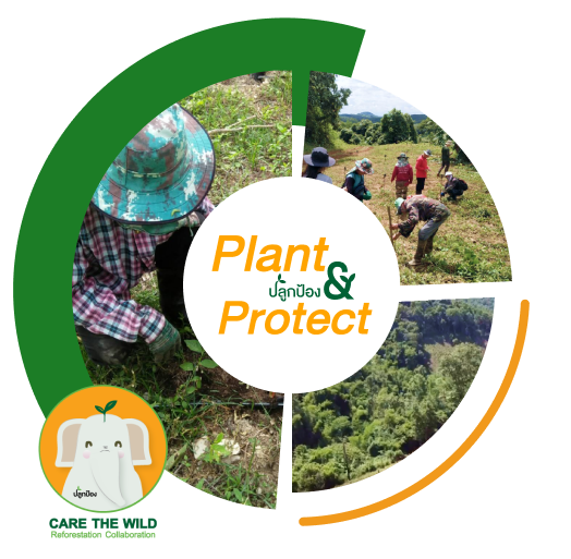 about_suatainability_6 Tab 3 - pic 01