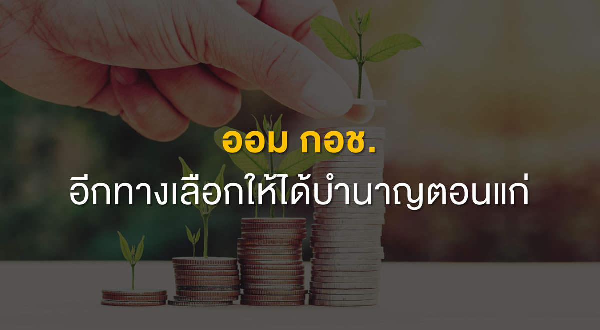 21-national-savings-fund-another-pension-option