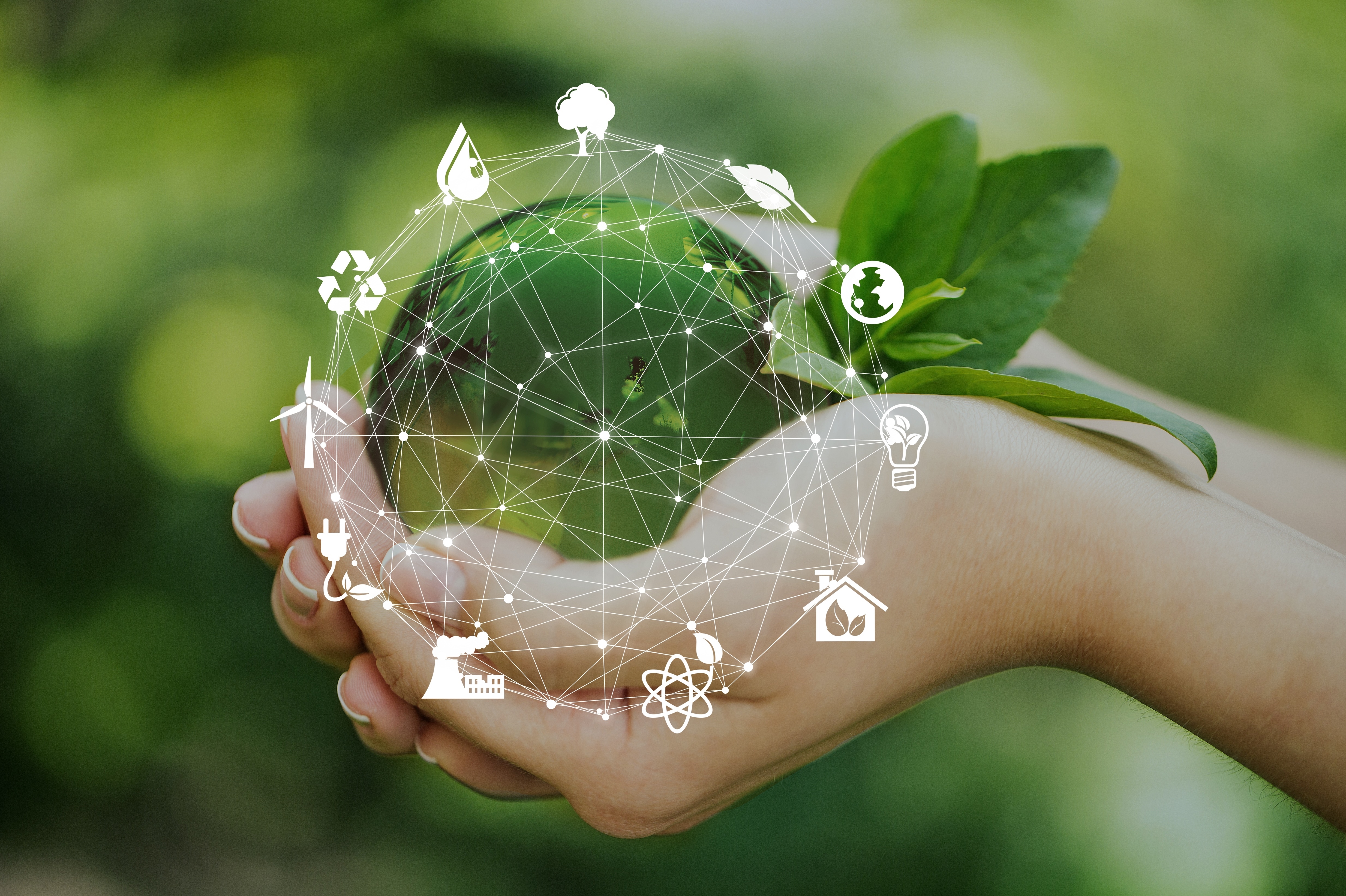 One Report attachment