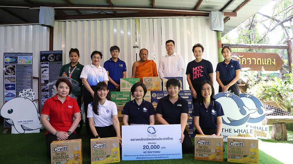 img-care-the-whale-01