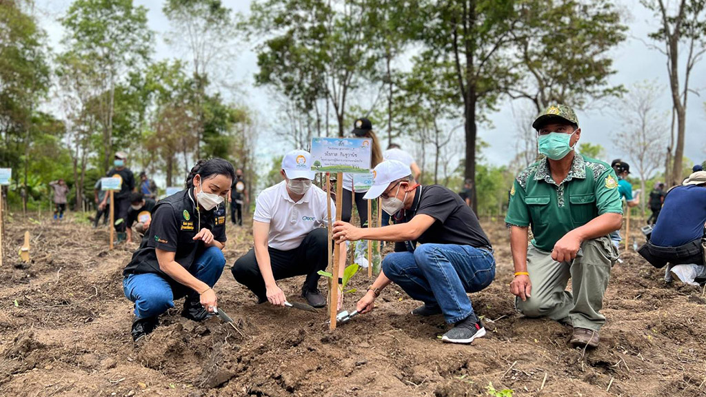 img-care-the-wild-02