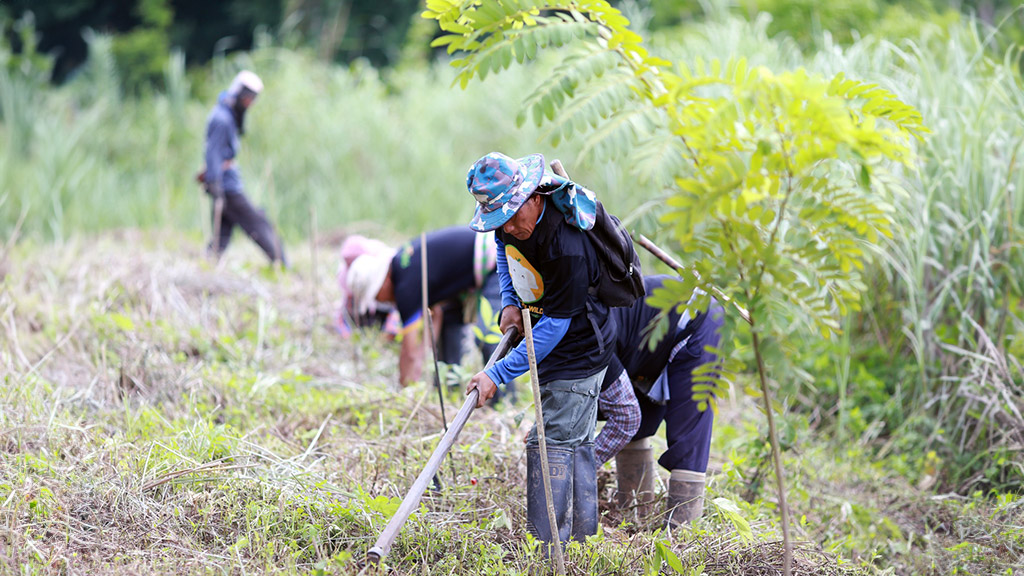 img-care-the-wild-03