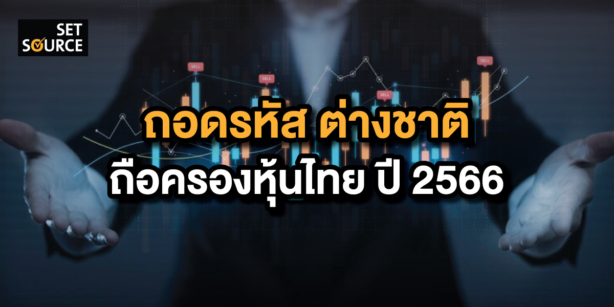 Holding_SET SOURCE 2024