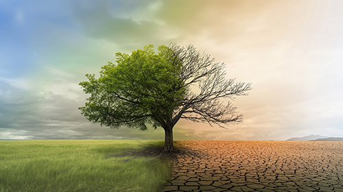 thailand-focus-2024-img-04