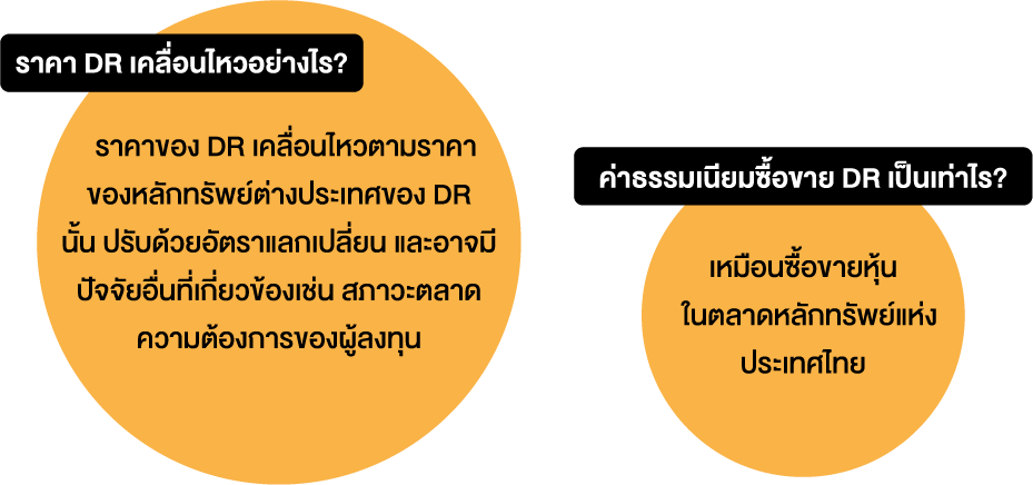 DR-info-2025-01